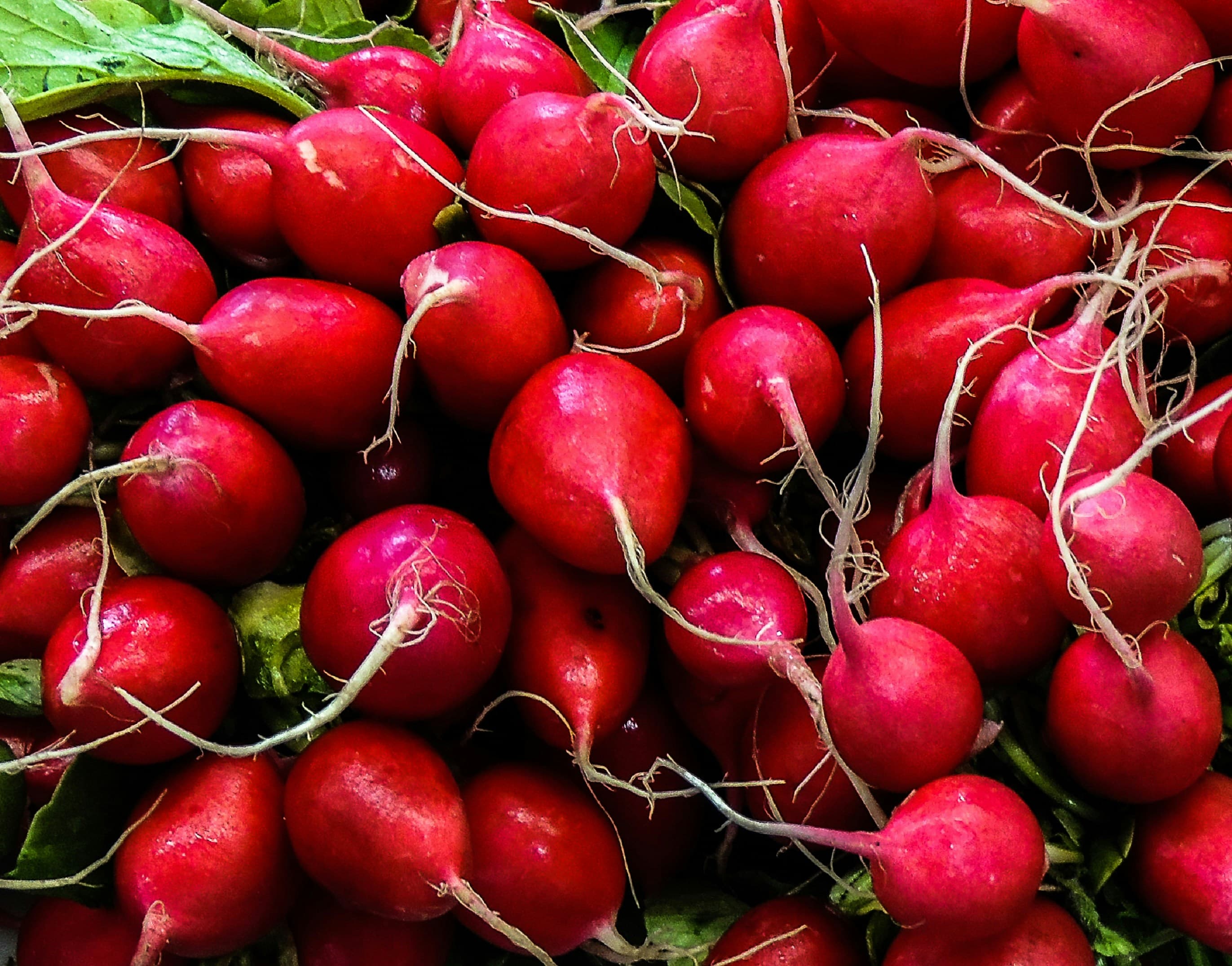 Yaprakları ve kökleriyle birlikte demet halinde renkli turplar